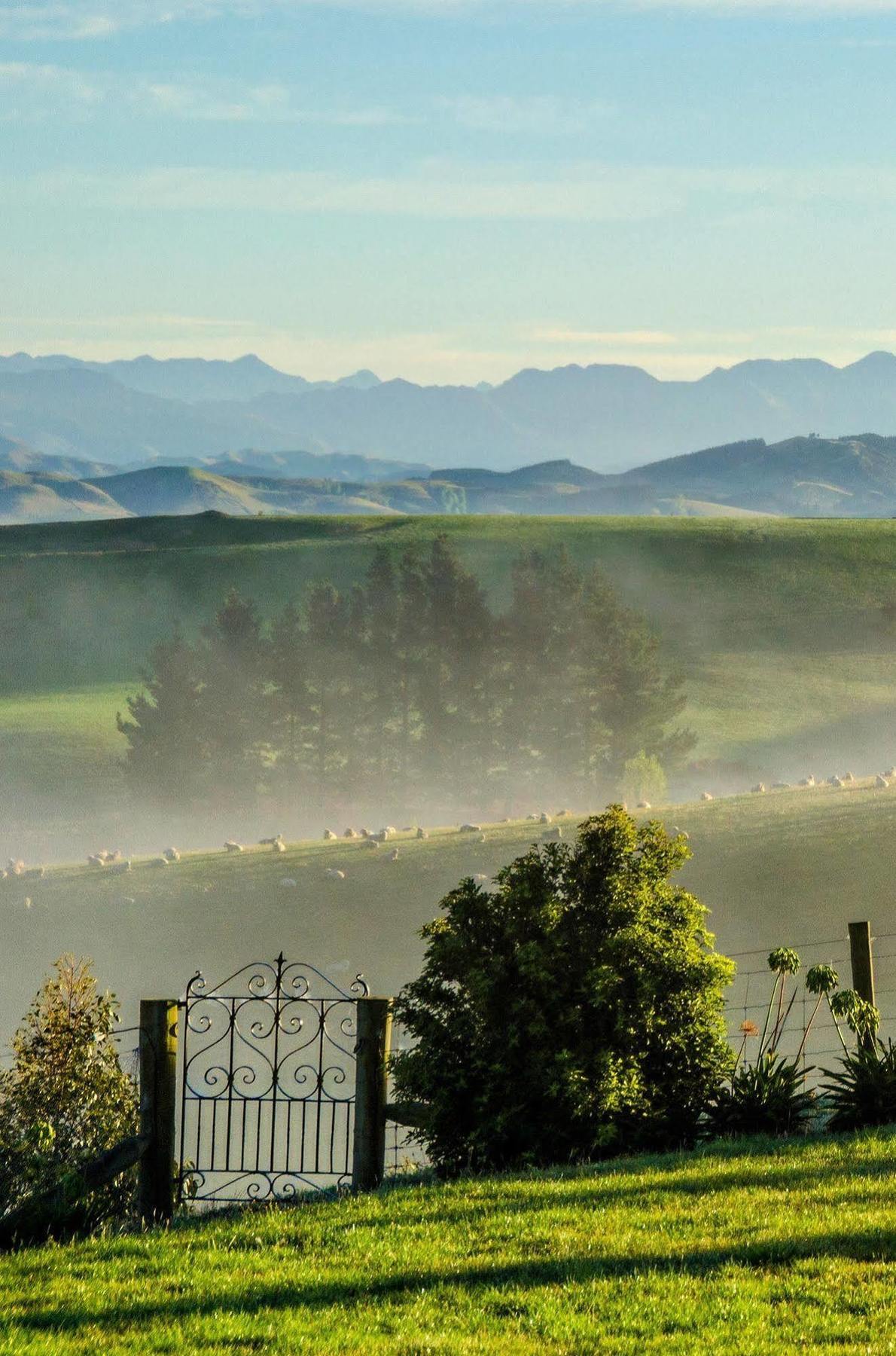 Ribbonwood Country House Cheviot Екстериор снимка