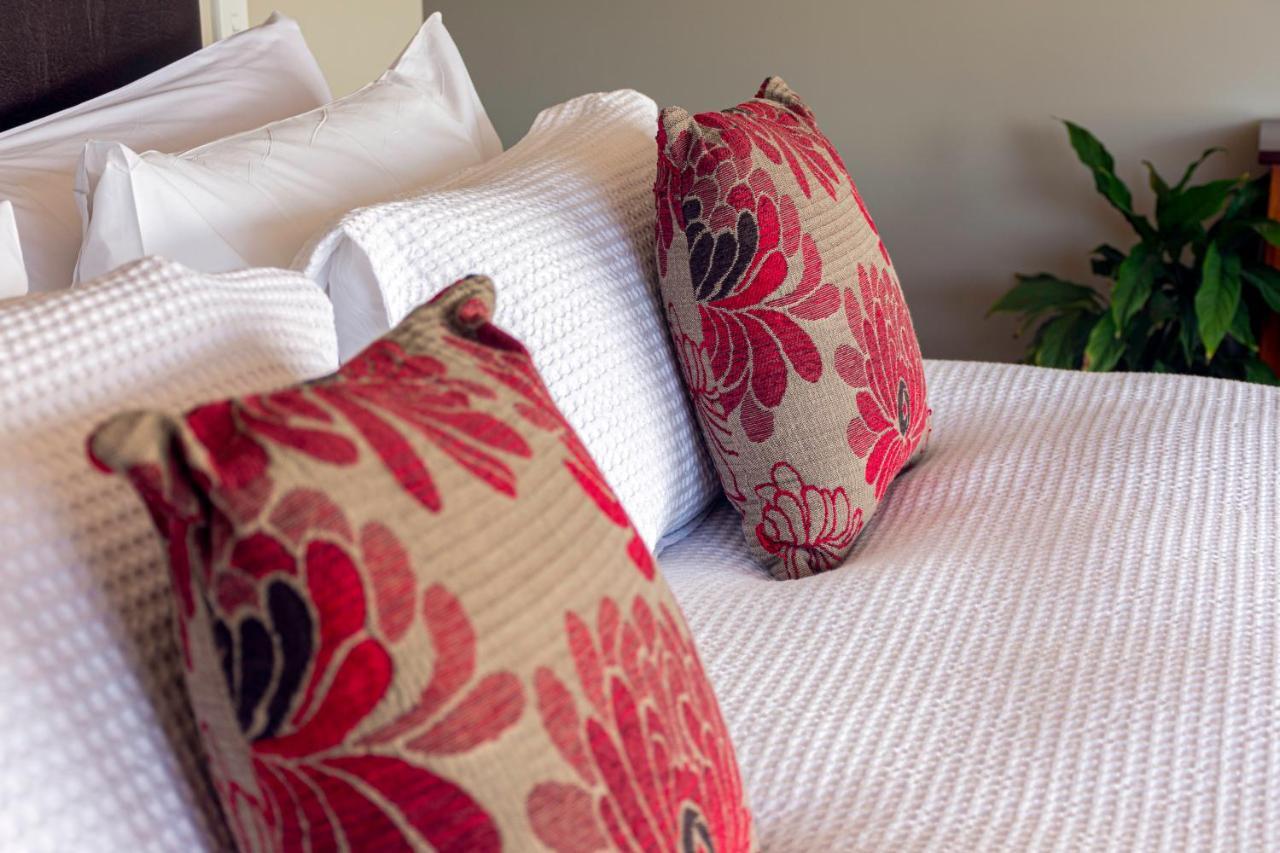 Ribbonwood Country House Cheviot Екстериор снимка